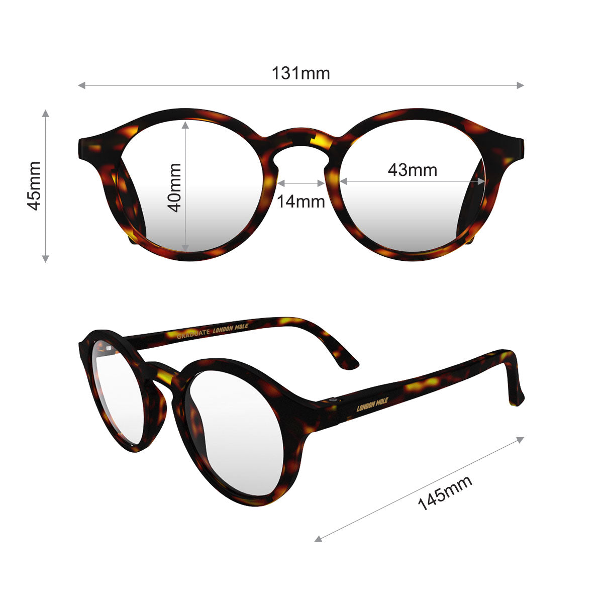 London Mole Graduate Matte Tortoise Shell Blue Blockers
